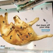 People as Fleas on Frontline Dog Ad