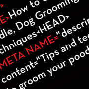 metadata_big