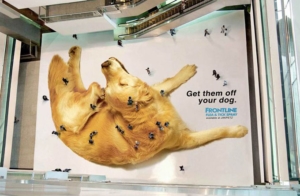 ""