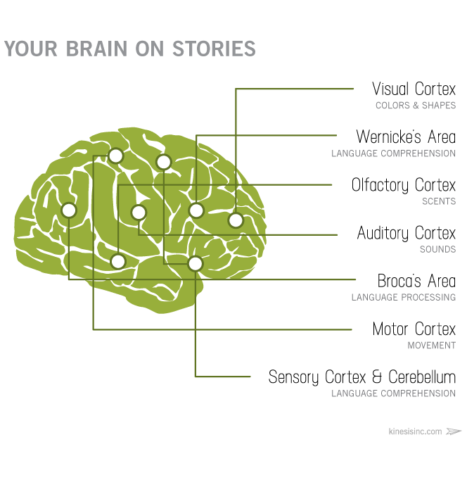 marketing-as-storytelling-brain-on-stories