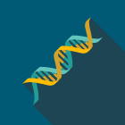 anatomy-remarkability-dna