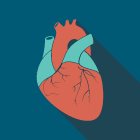 anatomy-values-heart
