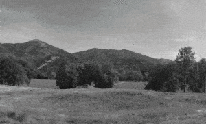 Jovick Framed By The Land Animation