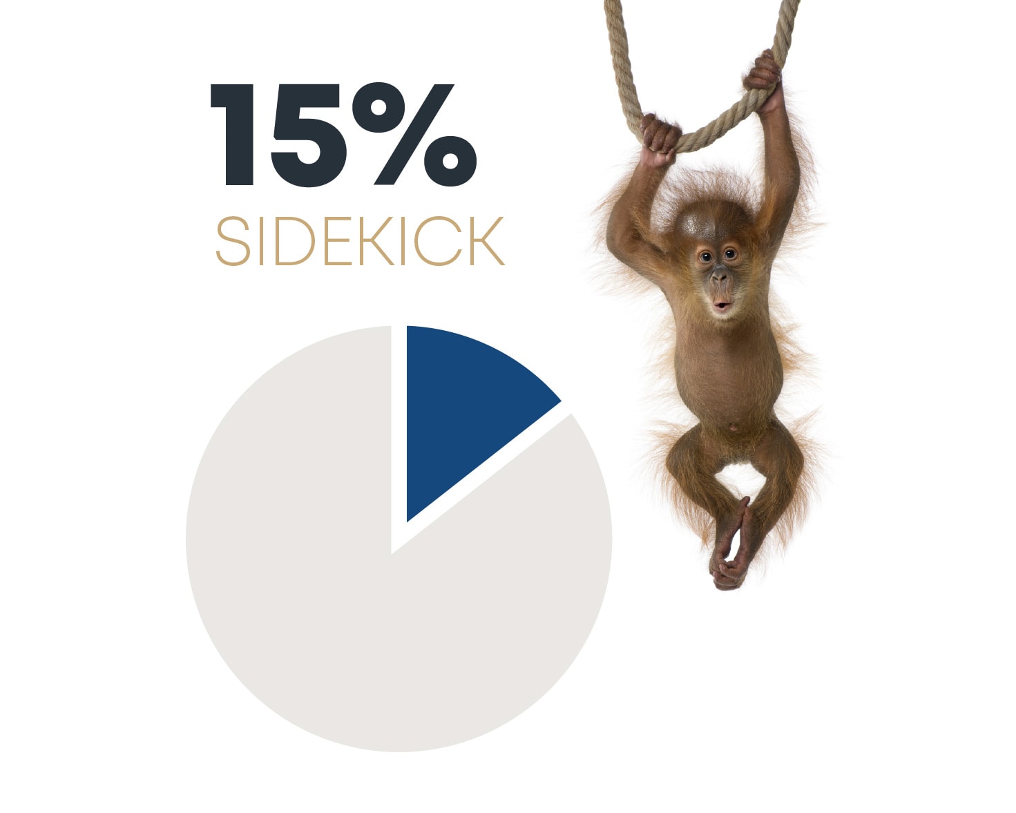 15% sidekick pie chart