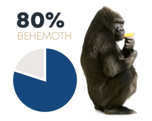 80% behemoth pie chart
