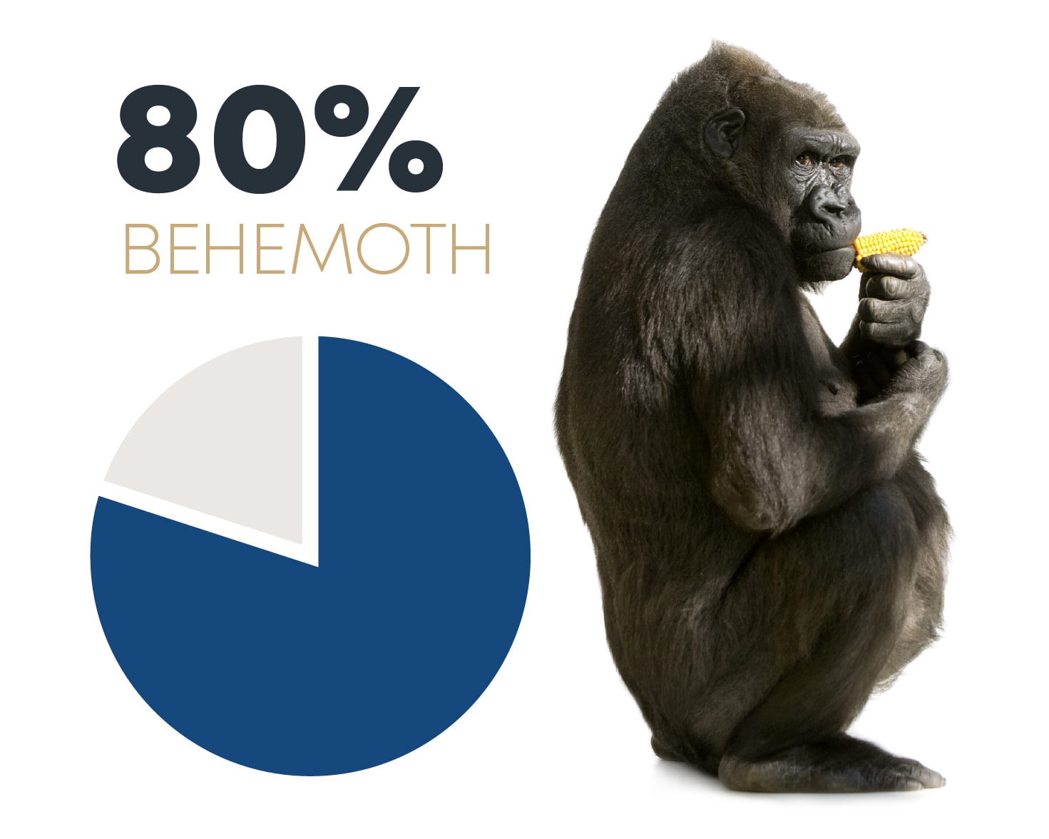 80% behemoth pie chart