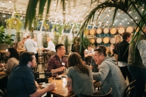 CatalystPDX Networking