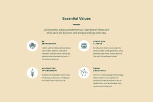 Systems West essential values graphic