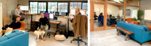 collage of new office with conference room, people at desks, hang out zone, and dogs