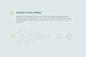 AMS Proprietary Way Phase 1: Concept Development